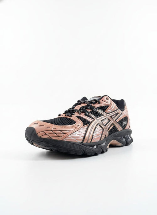 ASICS GEL NIMBUS 10.1